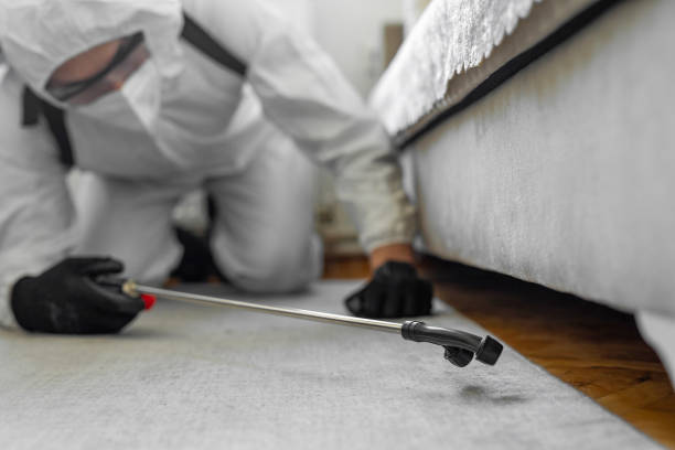 Professional Termite Control technician working in Fulton County County, AR